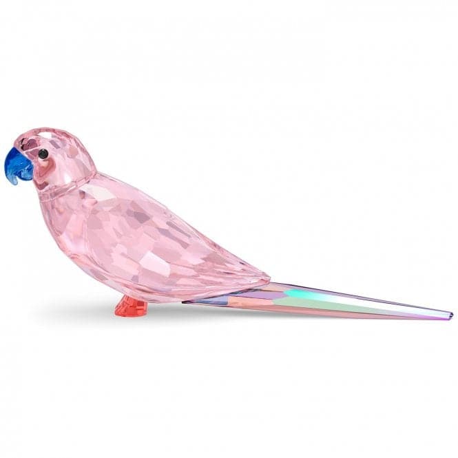 Jungle Beats Pink Parakeet Crystal Ornament 5557848Swarovski5557848