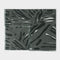 Katie Loxton Charcoal / Black / White Zebra Printed Scarf KLS593Katie LoxtonKLS593