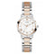 Ladies Dawn Stainless Steel 2 - Tone Watch GW0404L3Guess WatchesGW0404L3
