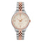 Ladies Quartz Analog Two Tone Watch TW2T49200Timex WatchesTW2T49200