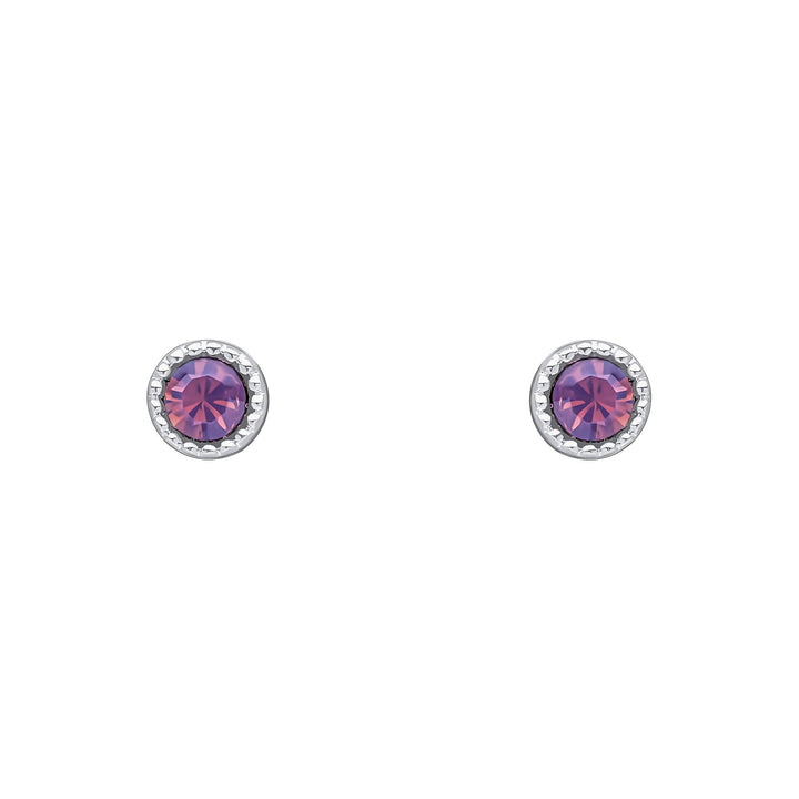 Laura Ashley Stippled Purple Crystal Silver Tone Stud Earrings E6518Laura AshleyE6518