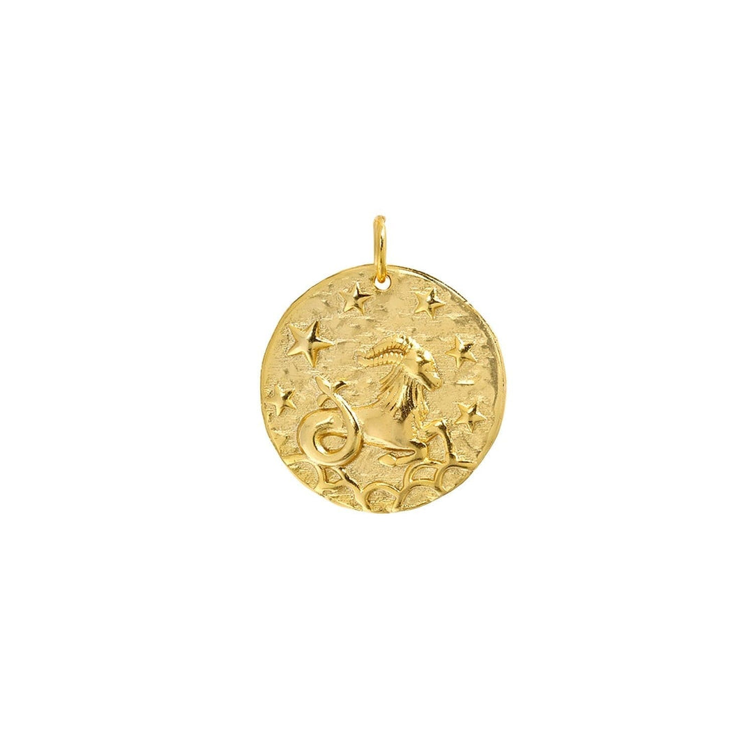 Love Local Zodiac PendantLove Local Jewellery40805832360126