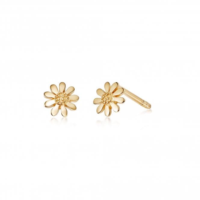 Marguerite Daisy Stud 18ct Gold Plated Earrings E4001_GPDaisyE4001_GP