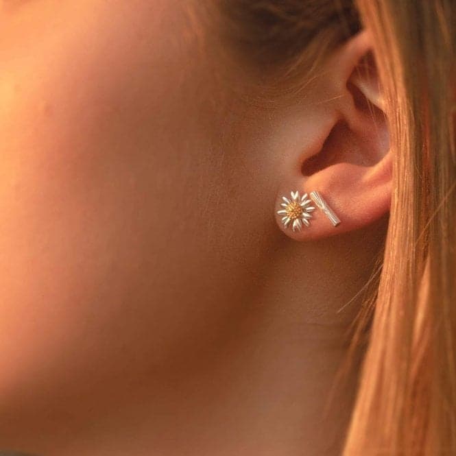 Michaelmas Daisy Stud In Silver Earrings E6080DaisyE6080