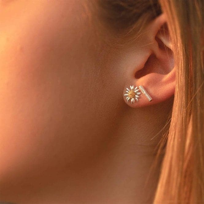 Michaelmas Daisy Stud In Silver Earrings E6080DaisyE6080