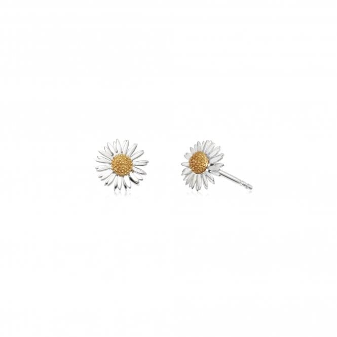 Michaelmas Daisy Stud In Silver Earrings E6080DaisyE6080