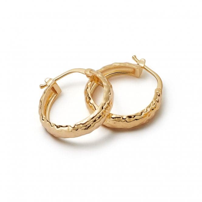 Midi Bold Braided Hoop In 18ct Gold Plated Earrings E3112_GPDaisyE3112_GP