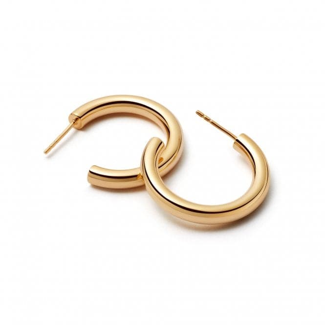 Midi Bold Hoop In 18ct Gold Plated Earrings E3119_GPDaisyE3119_GP