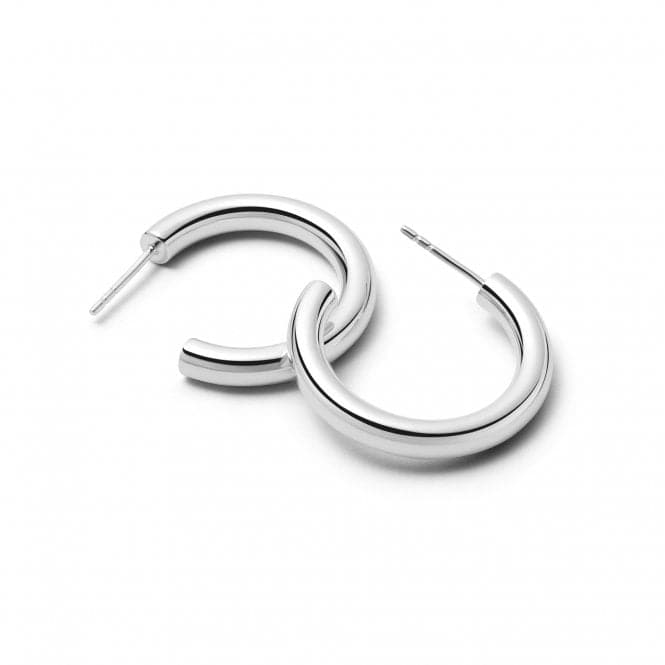 Midi Bold Hoop In Silver Earrings E3119_SLVDaisyE3119_SLV