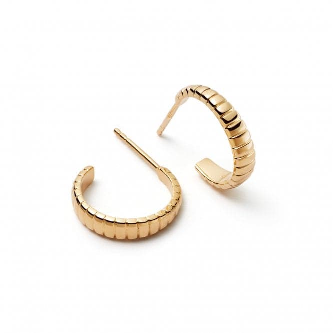 Midi Pleated Hoop In 18ct Gold Plated Earrings E3116_GPDaisyE3116_GP