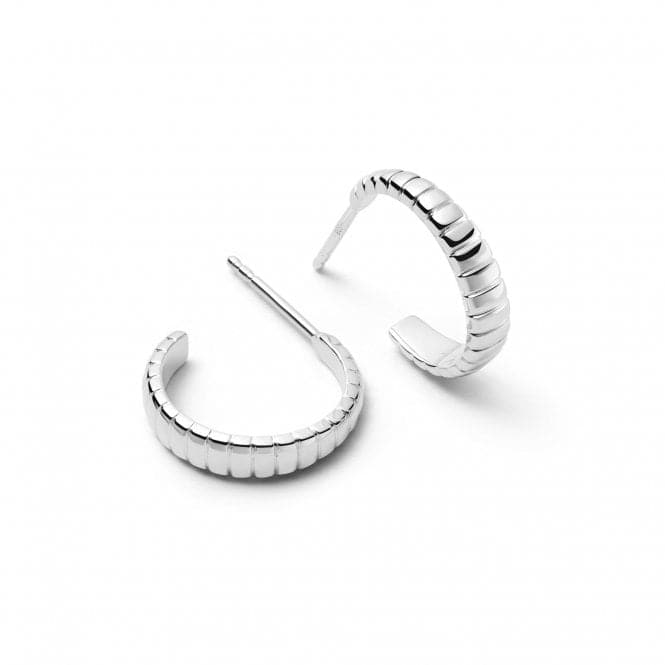 Midi Pleated Hoop In Silver Earrings E3116_SLVDaisyE3116_SLV