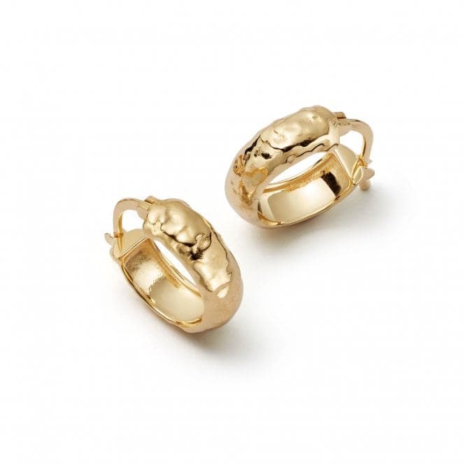 Mini Bold Braided Hoop In 18ct Gold Plated Earrings E3113_GPDaisyE3113_GP