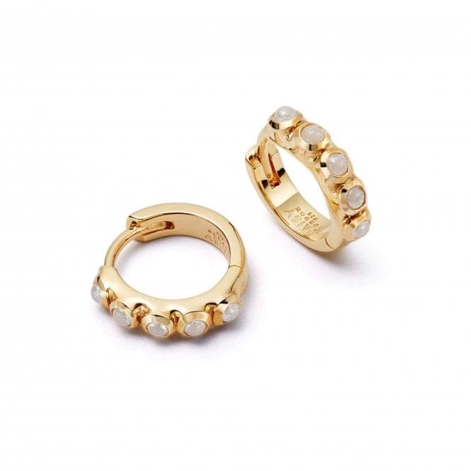 Mini Pearl Huggie 18ct Gold Plated Earrings SE09_GPDaisySE09_GP