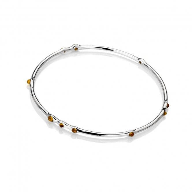 Nettare Genuine Amber Stainless steel Silver Plated Bangle EB077EmozioniEB077