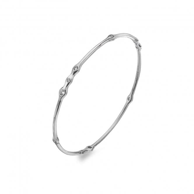 Nettare Stainless steel Silver Plated Bangle EB076EmozioniEB076