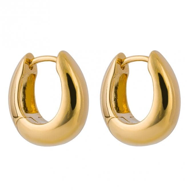 Organic Gold Plated Hoop Earrings E6241BeginningsE6241