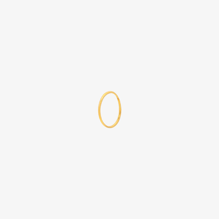 Simple Nose Hoop-5