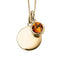 November Yellow Gold Plated Birthstone Engravable Disc Necklace P5018
