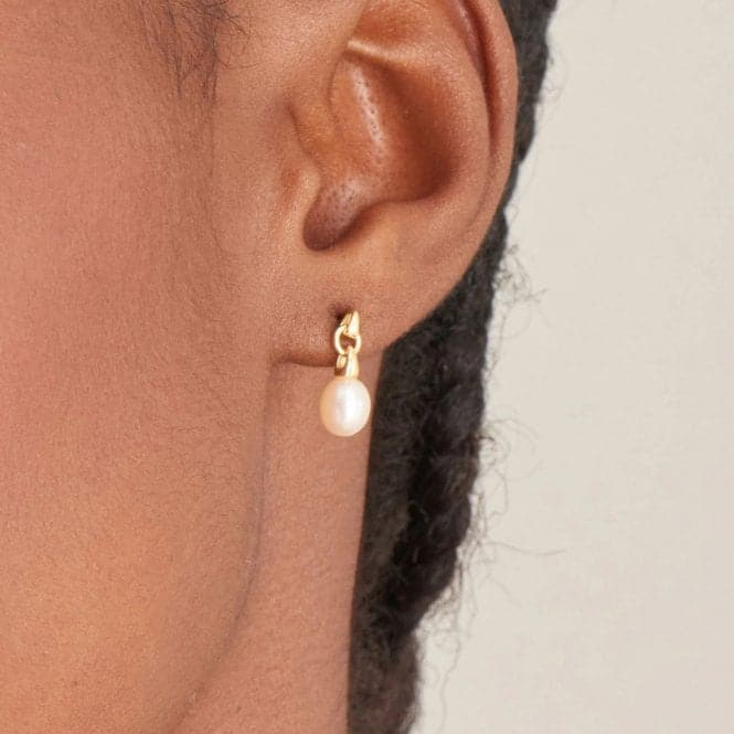 Pearl Drop Stud Earrings E043 - 02GAnia HaieE043 - 02G