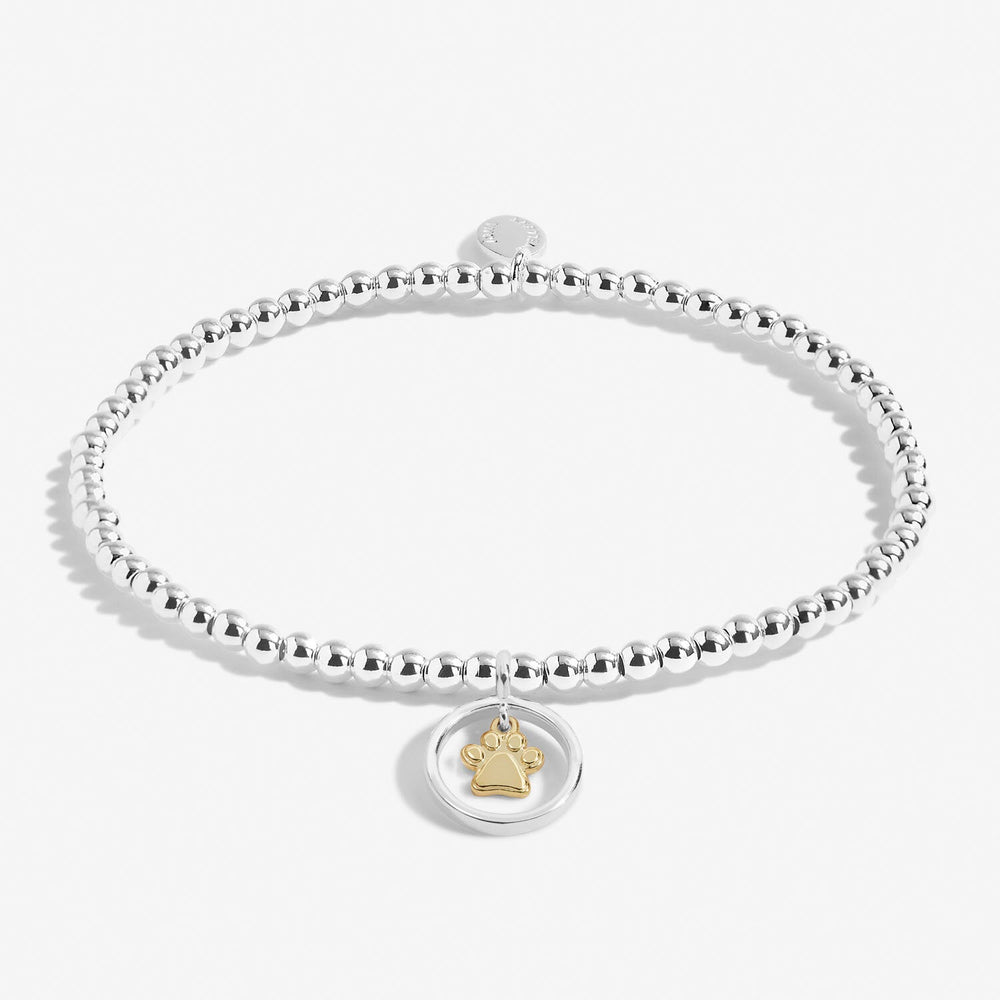 Pets Leave Pawprints On Our Hearts Silver Gold Plated 17.5cm Bracelet 6845Joma Jewellery6845