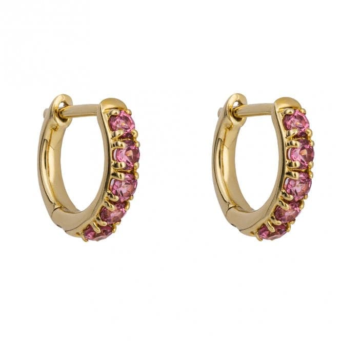 Rhodolite Garnet 9ct Yellow Gold Hoop Earrings GE1053PElements GoldGE1053P