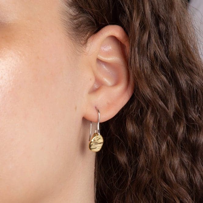 Ripple Effect Yellow Gold Drop Disc Earrings E6284Fiorelli SilverE6284