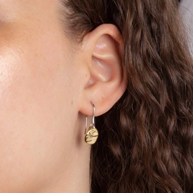 Ripple Effect Yellow Gold Drop Disc Earrings E6284Fiorelli SilverE6284