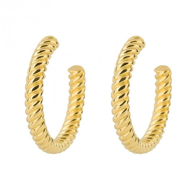 Rope Pattern Open Yellow Gold Hoop Earrings E6216Fiorelli SilverE6216