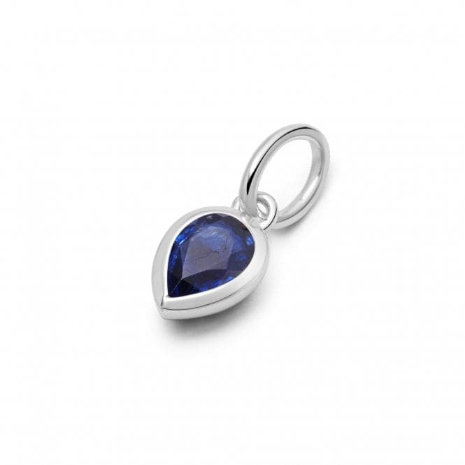 Sapphire September Birthstone Sterling Silver Charm PBS21_SLVDaisyPBS21_SLV