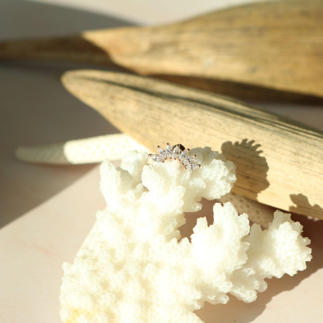 Crystal wing barbell-1
