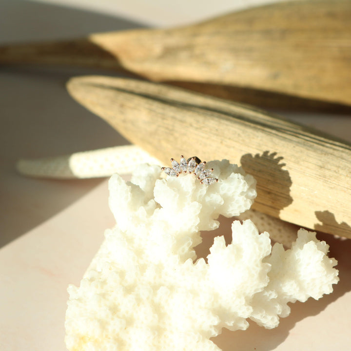 Crystal wing barbell-1