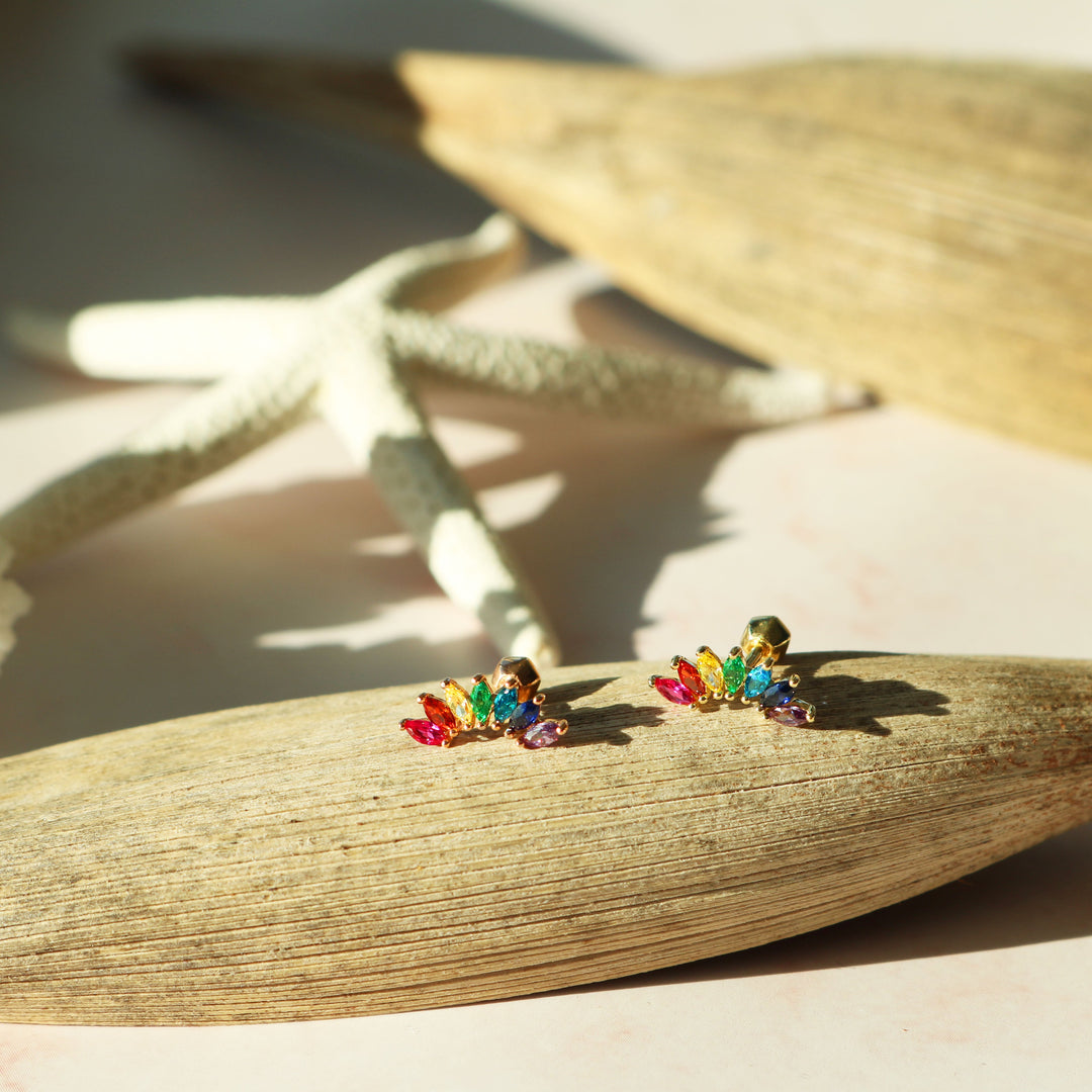 Rainbow wing barbell-4