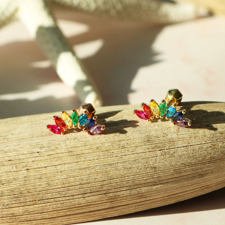 Rainbow wing barbell-1