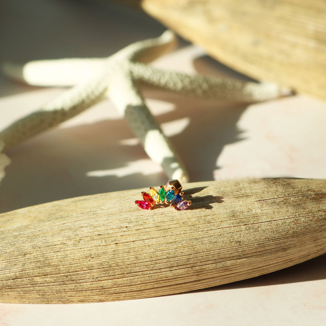 Rainbow wing barbell-2
