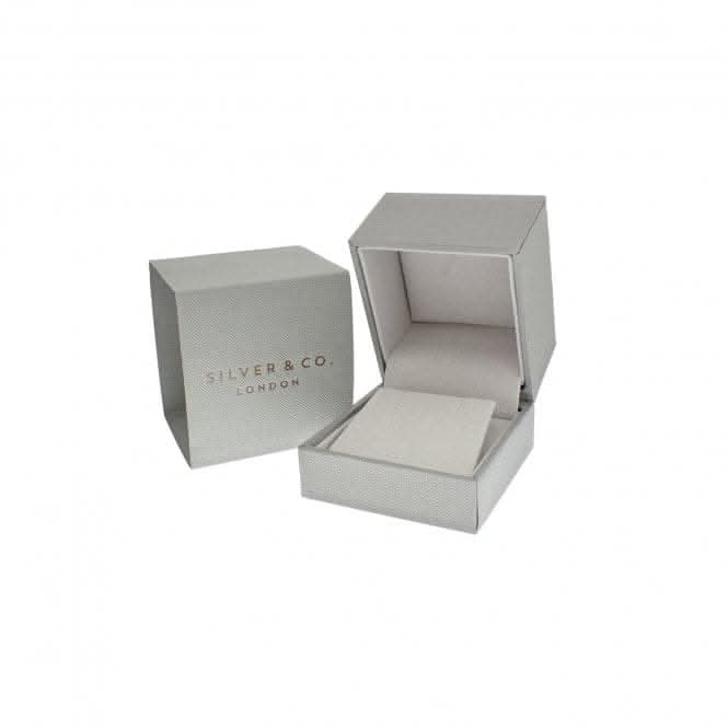 Silver Claw Set Halo Style Cut Cubic Zirconia Stud Earrings SEG0027YZSilver & CoSEG0027YZ
