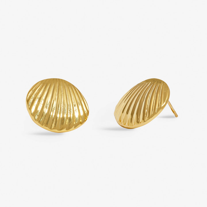 Soul Shine Shell Gold Plated Earrings 8480Joma Jewellery8480