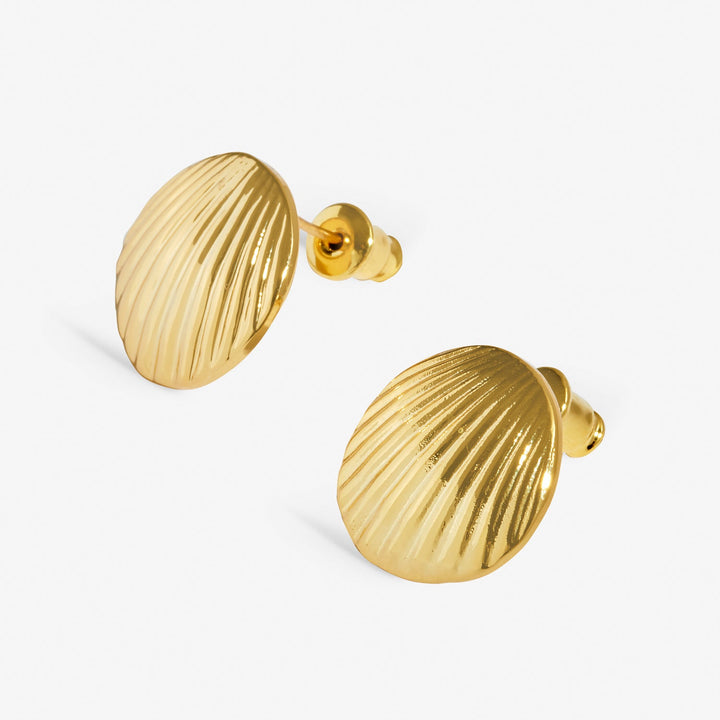 Soul Shine Shell Gold Plated Earrings 8480Joma Jewellery8480