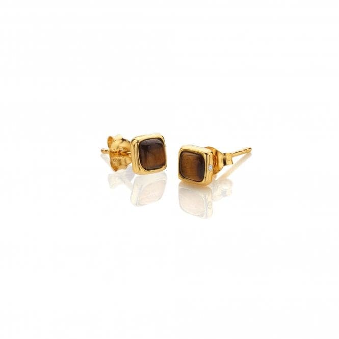 Square Tigers Eye Earrings DE772Hot Diamonds x GemstonesDE772