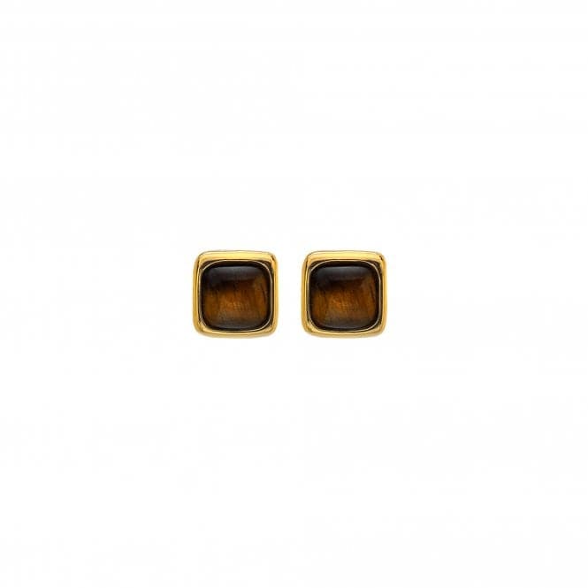 Square Tigers Eye Earrings DE772Hot Diamonds x GemstonesDE772