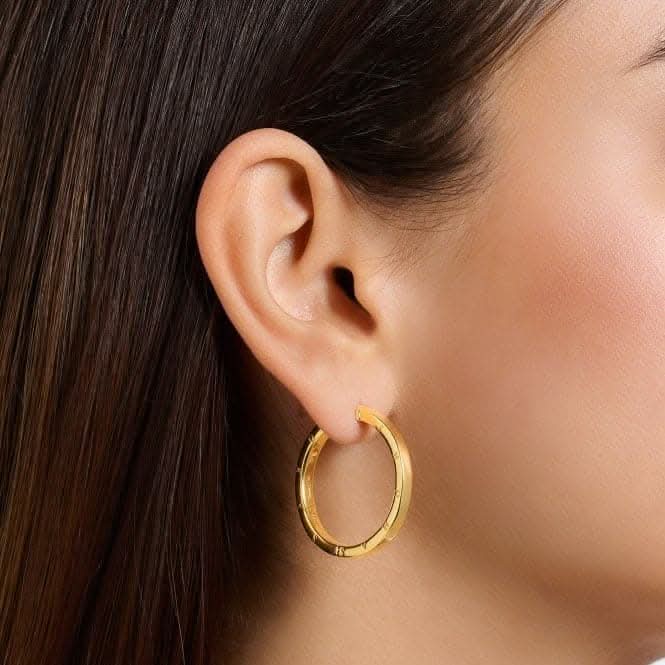 Sterling Silver Gold Plated Hoop Earrings CR686 - 413 - 39Thomas Sabo Sterling SilverCR686 - 413 - 39