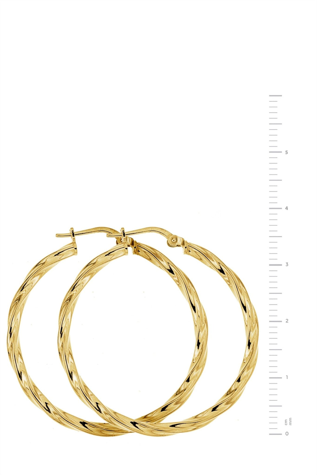 Sterling Silver Gold Plated Twist Creole EarringsThe Fine CollectiveBA0063870