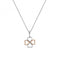 Sterling Silver Lucky in Love Rose Gold Accents Pendant DP769Hot DiamondsDP769