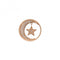 Sterling Silver Plate Notturno Drop Rose Gold Plate 25mm Coin EC522EmozioniEC522