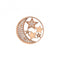 Sterling Silver Plate Notturno Rose Gold Plate 33mm Coin EC519EmozioniEC519