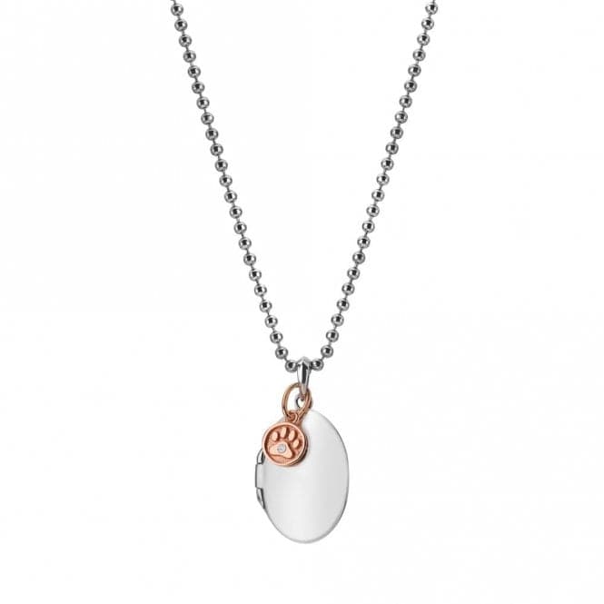 Sterling Silver Rose Gold Plated Dog Paw Locket DP879Hot DiamondsDP879