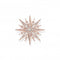Sterling Silver Rose Gold Plated Pink White Stones Star Brooch X0281 - 578 - 14Thomas Sabo Sterling SilverX0281 - 578 - 14