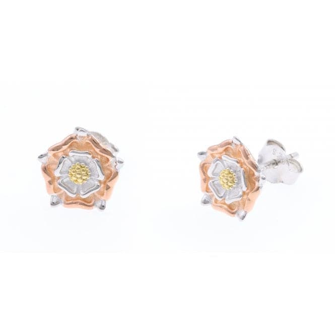 Sterling Silver Rose Gold Plated Royal Rose Stud Earrings ERLE013Ellie Rose LondonERLE013