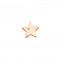 Sterling Silver Rose Gold Plated Star Icon Pendant DP825Hot DiamondsDP825