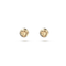 Stilla Stud Orange Gold - tone Plated Earrings 5639116Swarovski5639116