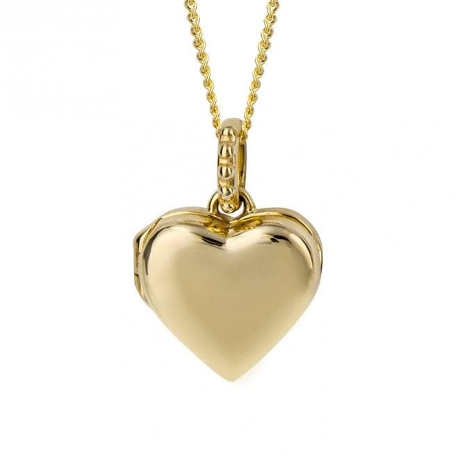 Stippled Bale Heart 9ct Yellow Gold Locket GP1013Elements GoldGP1013